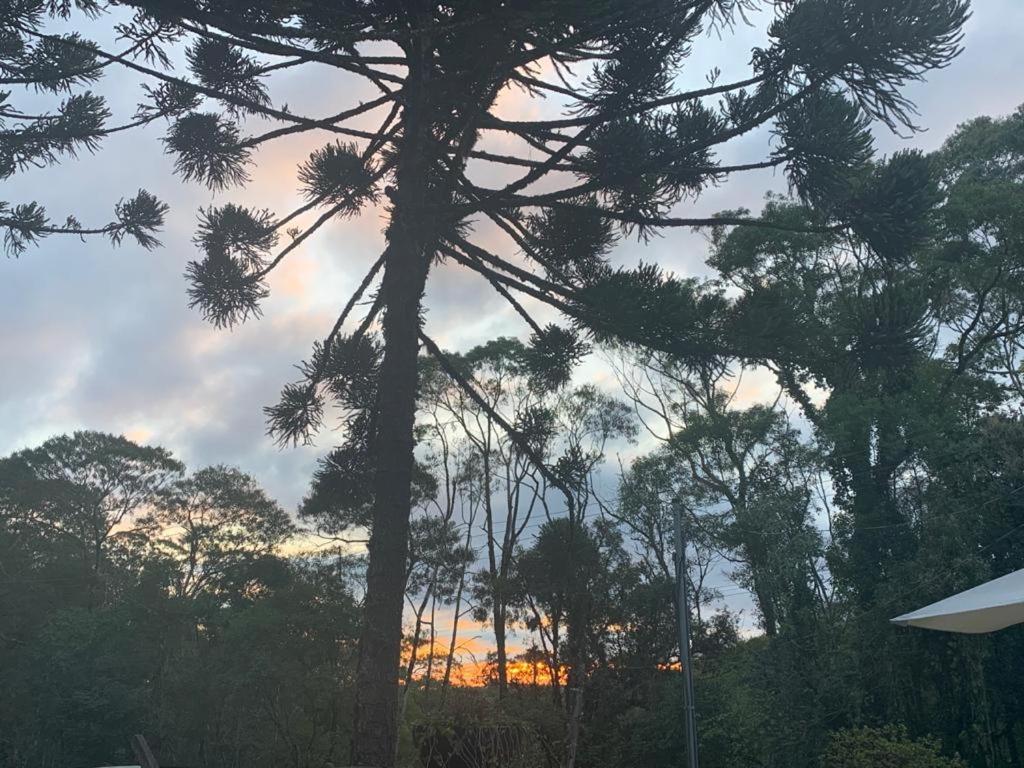 Casa De Campo Em Gramado Exterior foto